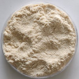 木粉香蕉视频在线播放